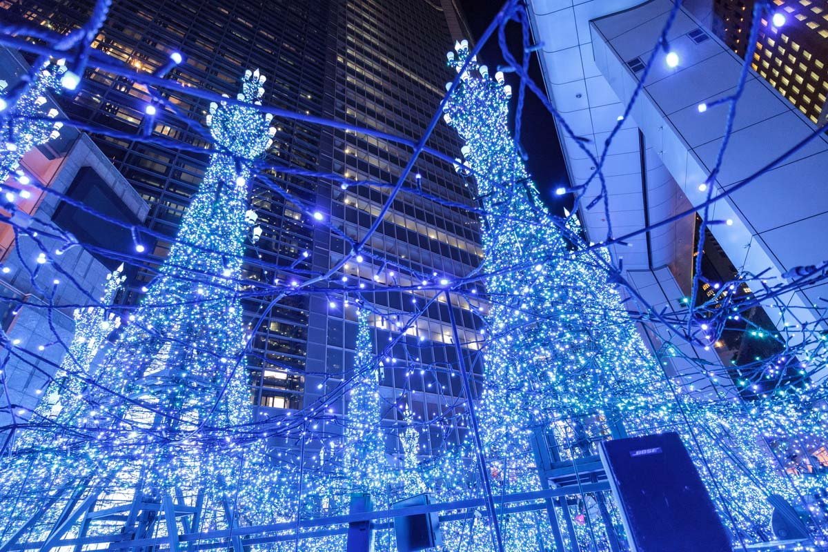 🛍️ 카레타 시오도메 이미지 9